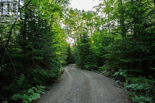 Lot 27 Richmond Bay Rd|Hilton Township, St. Joseph Island, ON 