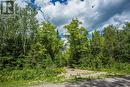 Lot 32 Richmond Bay Rd|Hilton Township, St. Joseph Island, ON 