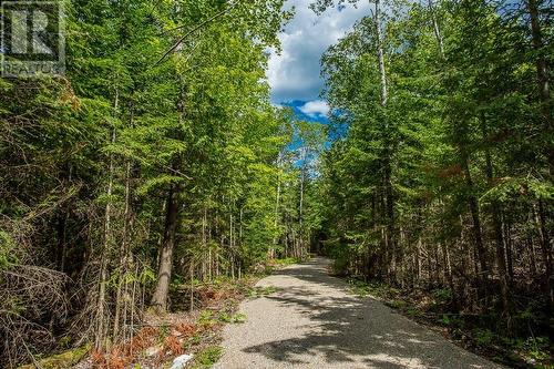 Lot 32 Richmond Bay Rd|Hilton Township, St. Joseph Island, ON 