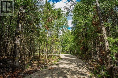 Lot 32 Richmond Bay Rd|Hilton Township, St. Joseph Island, ON 