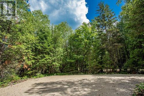 Lot 32 Richmond Bay Rd|Hilton Township, St. Joseph Island, ON 