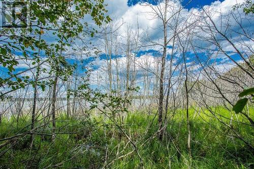 Lot 32 Richmond Bay Rd|Hilton Township, St. Joseph Island, ON 