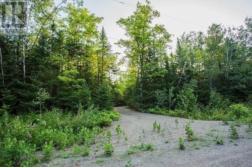 Lot 32 Richmond Bay Rd|Hilton Township, St. Joseph Island, ON 