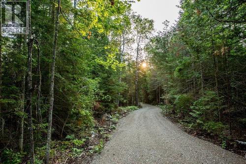 Lot 32 Richmond Bay Rd|Hilton Township, St. Joseph Island, ON 