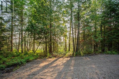 Lot 32 Richmond Bay Rd|Hilton Township, St. Joseph Island, ON 