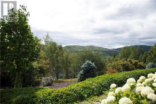 22 Du Boisé, Saint-Basile, NB - Outdoor With View