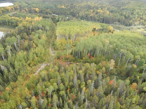 Terre/Terrain - Route 391, Rémigny, QC 