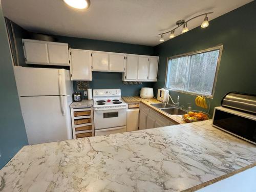 2151 Highway 3, Fernie, BC - Indoor Photo Showing Kitchen With Double Sink