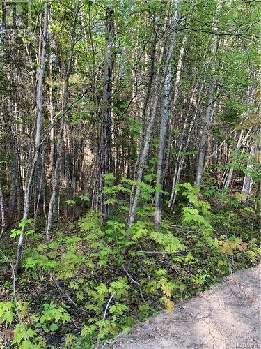 Lot 83-14 David Rd Galloway, Galloway, NB 