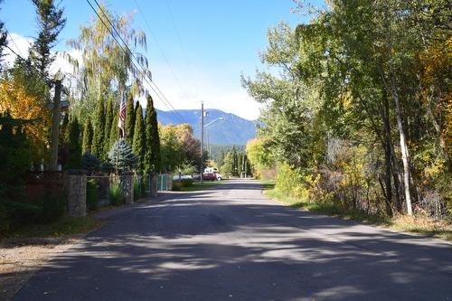 4734 Mercury Street, Windermere, BC - Outdoor With View
