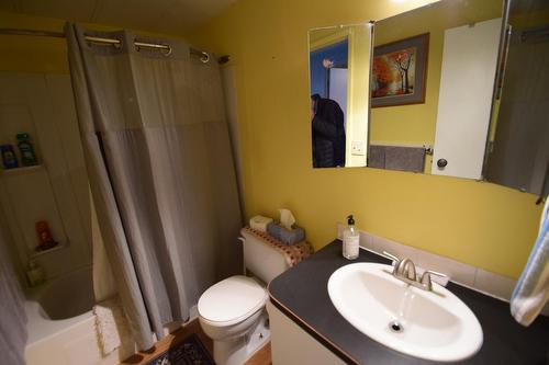 4734 Mercury Street, Windermere, BC - Indoor Photo Showing Bathroom