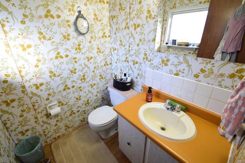 4734 Mercury Street, Windermere, BC - Indoor Photo Showing Bathroom