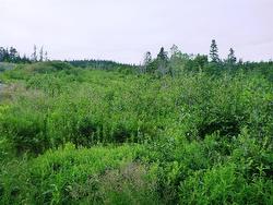 2-4 Snows Pond Road  North River, NL A0A 3C0