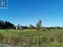 Lot 41 Levesque Street, Charlo, NB 