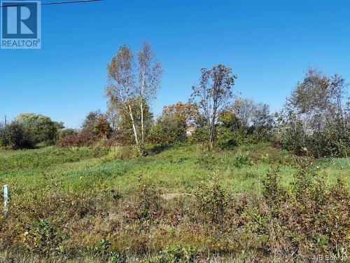 Lot 14 Des Freres Street, Charlo, NB 