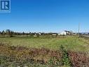 Lot 6 Isabelle Street, Charlo, NB 