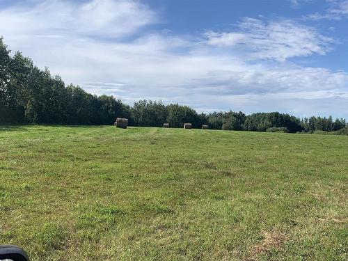 2417A Twp. Rd. 530, Rural Parkland County, AB 