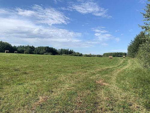 2417A Twp. Rd. 530, Rural Parkland County, AB 