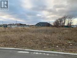 5 Laurena Drive  Stephenville, NL A2N 0C2