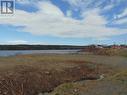12 Lakeview Drive, Millertown, NL 