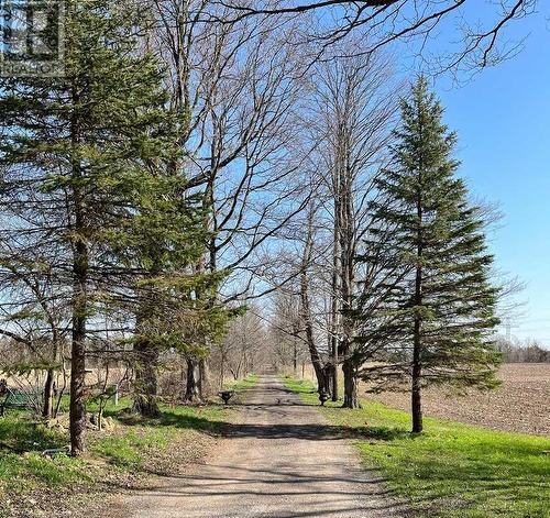 1457 97 Regional Road, Hamilton, ON - Outdoor With View