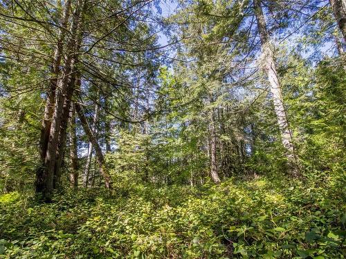 2223 Port Washington Rd, Pender Island, BC 