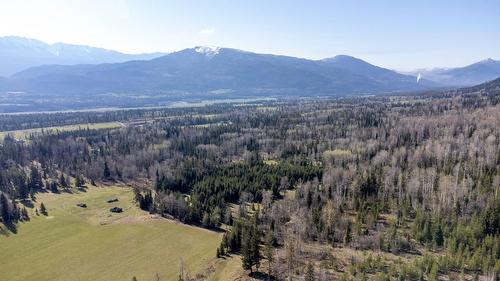 8412 Kaisner Road, Elk Valley, BC - Outdoor With View