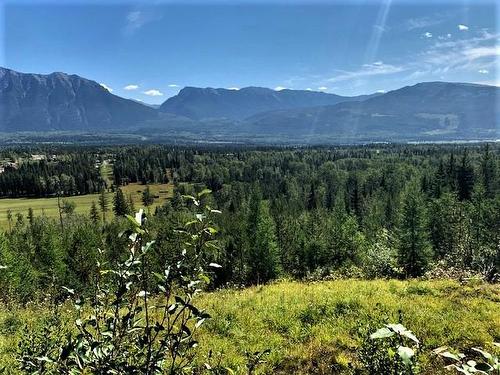 8412 Kaisner Road, Elk Valley, BC - Outdoor With View