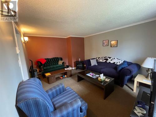 14 Suvla Road, Grand Falls-Windsor, NL - Indoor Photo Showing Living Room