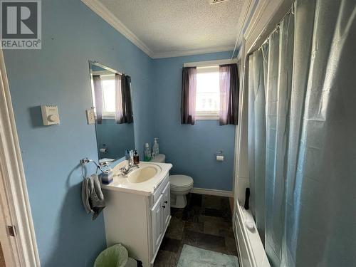 14 Suvla Road, Grand Falls-Windsor, NL - Indoor Photo Showing Bathroom