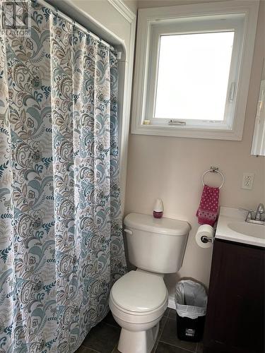 14 Suvla Road, Grand Falls-Windsor, NL - Indoor Photo Showing Bathroom