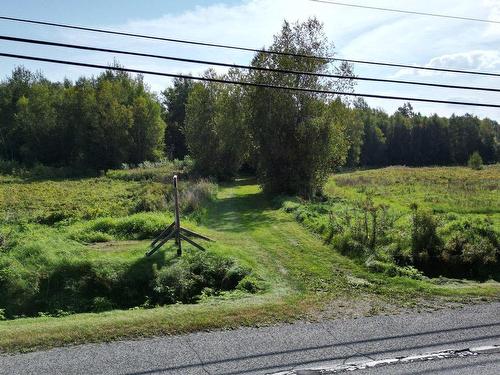 Terre/Terrain - Route Marie-Victorin, Contrecoeur, QC 