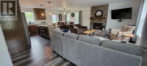 380 Kimberley Farm Road, Winterland, NL - Indoor Photo Showing Living Room With Fireplace