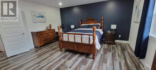 380 Kimberley Farm Road, Winterland, NL - Indoor Photo Showing Bedroom