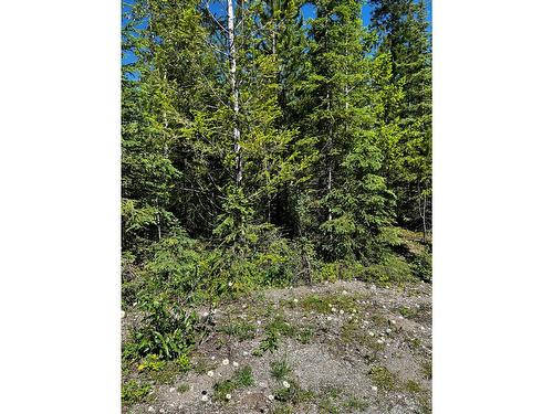 37 Driftwood Place, Elkford, BC 