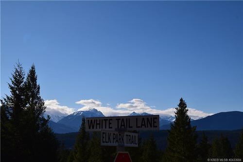 Lot 27 - 7061 White Tail Lane, Radium Hot Springs, BC 