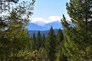 7045 White Tail Lane Unit# Lot 24, Radium Hot Springs, BC 