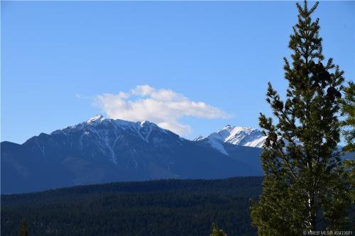 7045 White Tail Lane Unit# Lot 24, Radium Hot Springs, BC 