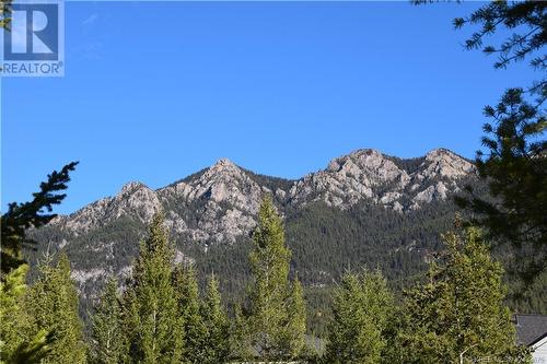 Lot 14 - 7078 White Tail Lane, Radium Hot Springs, BC 