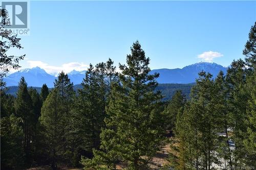 7078 White Tail Lane Unit# Lot 14, Radium Hot Springs, BC 