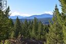 7058 White Tail Lane Unit# Lot 19, Radium Hot Springs, BC 