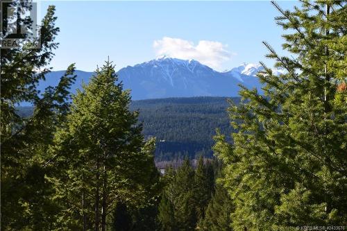 7058 White Tail Lane Unit# Lot 19, Radium Hot Springs, BC 