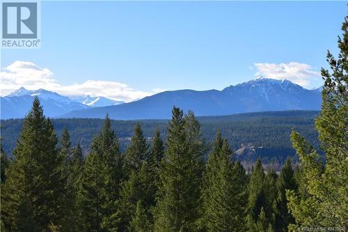 7058 White Tail  Lane Unit# Lot 19, Radium Hot Springs, BC 