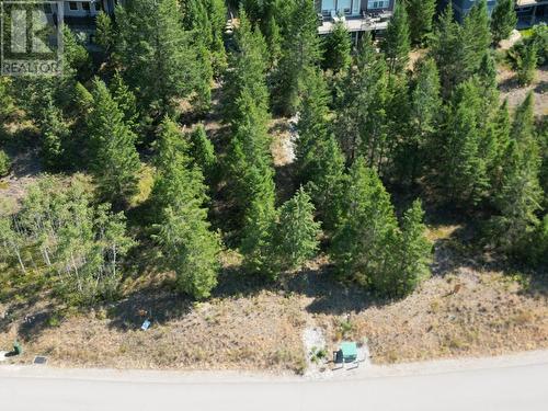 7058 White Tail  Lane Unit# Lot 19, Radium Hot Springs, BC 