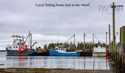 Bark Island, Voglers Cove, NS 