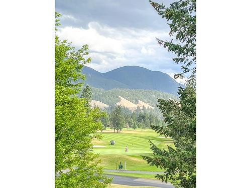 334 - 300 Bighorn Boulevard, Radium Hot Springs, BC - Outdoor With View
