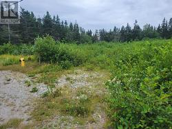 42-46 Courthouse  St Georges, NL A0N 1Z0