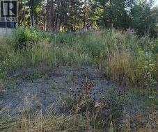 7581 LOEDEL CRESCENT  Prince George, BC V2N 0A5