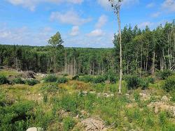 Highway 14  Chester, NS B0J 1J0