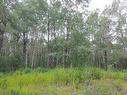 Lot 1 Francois Lake, Vanderhoof, BC 